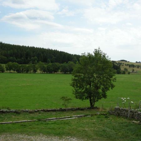 Gite A La Ferme Le Malzieu-Ville Екстер'єр фото