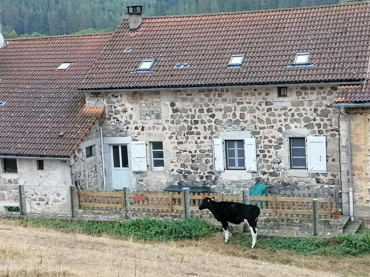 Gite A La Ferme Le Malzieu-Ville Екстер'єр фото
