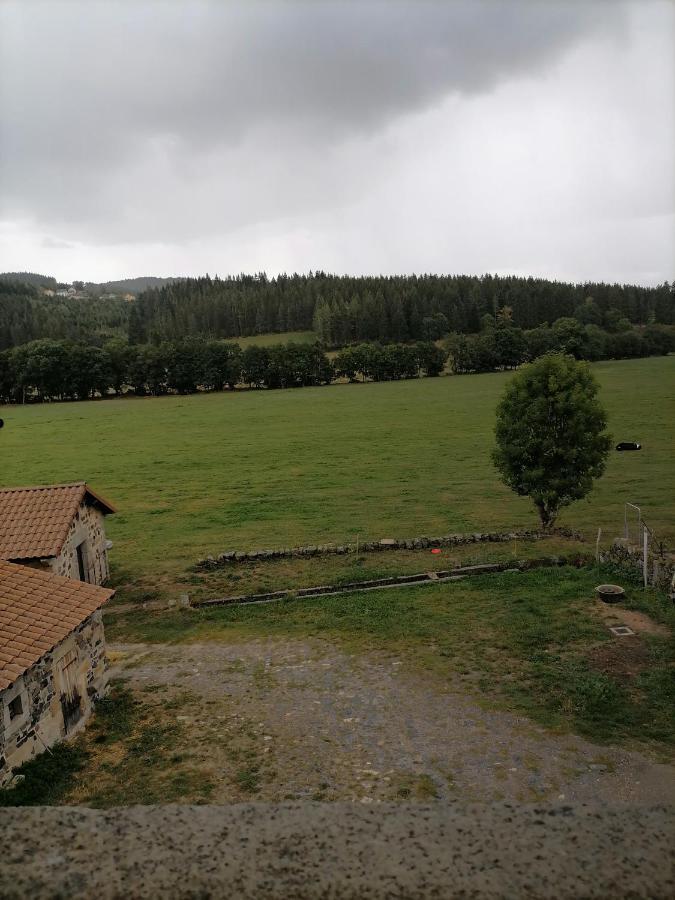 Gite A La Ferme Le Malzieu-Ville Екстер'єр фото