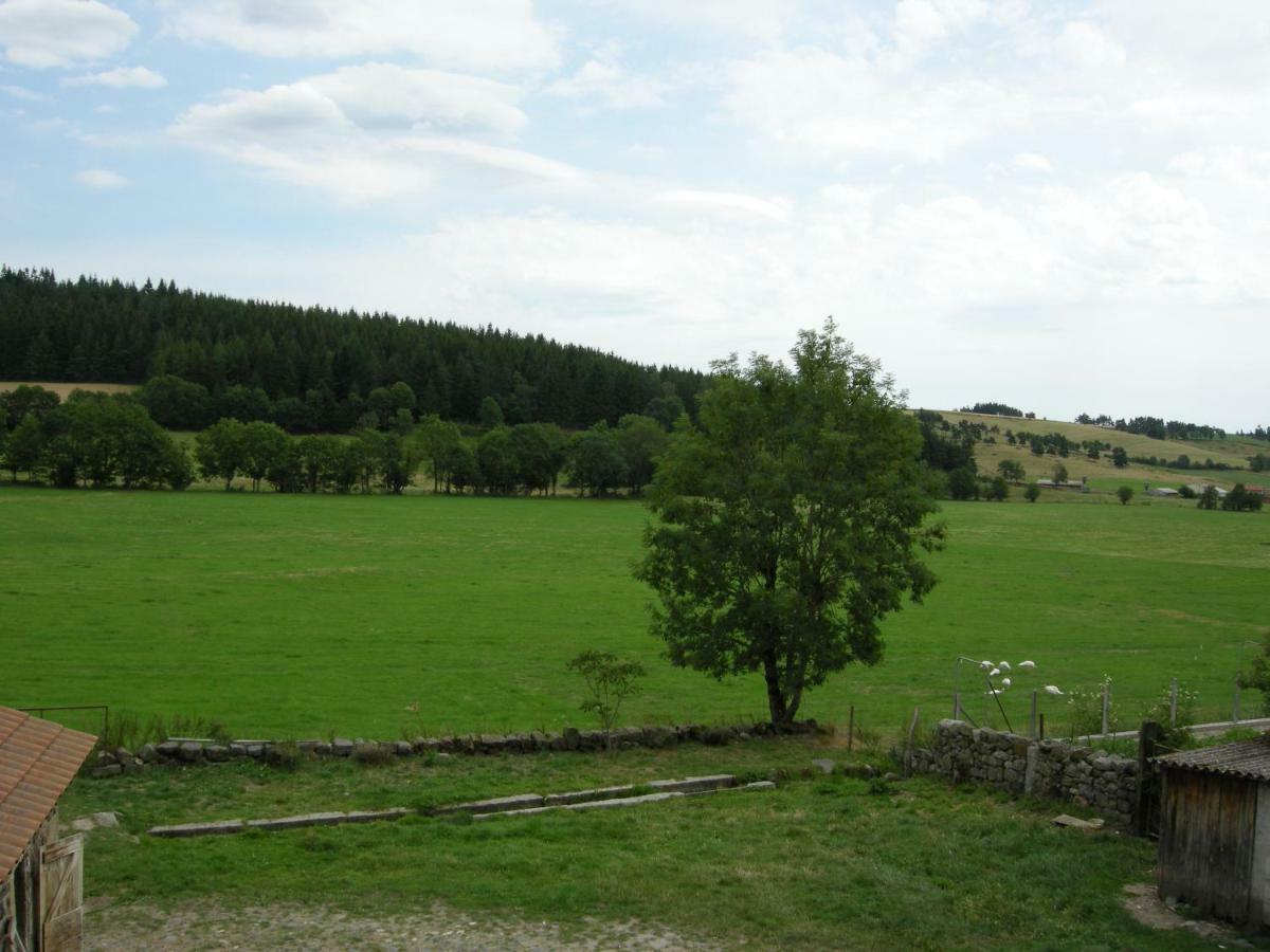 Gite A La Ferme Le Malzieu-Ville Екстер'єр фото